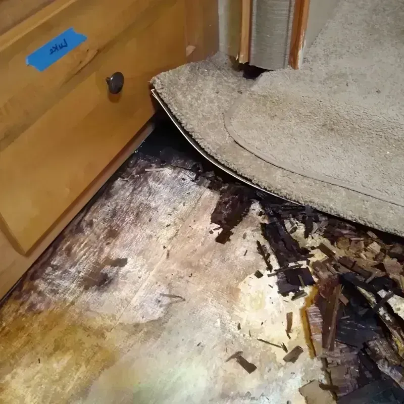 Wood Floor Water Damage in Delta County, MI